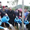 Thủ tướng Nguyễn Xuân Phúc cùng các đại biểu tham gia trồng cây. (Ảnh: Thống Nhất/TTXVN)