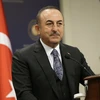 Ngoại trưởng Thổ Nhĩ Kỳ Mevlut Cavusoglu. (Ảnh: THX/TTXVN)