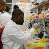 Các nhà nghiên cứu của Đại học Queensland tiến hành các thí nghiệm để chế tạo vắcxin virus corona. (Nguồn: Đại học Queensland)