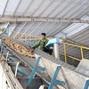 Công nhân sản xuất tại nhà máy tinh bột sắn. (Ảnh: Hoài Nam/TTXVN)