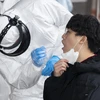 Nhân viên y tế lẫy mẫu bệnh phẩm của bệnh nhân nghi nhiễm COVID-19 tại Seoul của Hàn Quốc ngày 10/3. (Ảnh: THX/TTXVN)