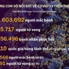 [Infographics] Những con số nổi bật về COVID-19 trên thế giới