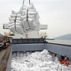 Bốc xếp gạo xuất khẩu tại cảng Cửa Lò (Nghệ An). (Ảnh: Danh Lam/TTXVN)