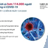 [Infographics] Thế giới có hơn 114.000 người tử vong vì COVID-19
