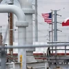 Các đường đường ống dẫn dầu tại Khu dự trữ dầu khí chiến lược ở Freeport, Texas. (Nguồn: Reuters)