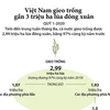 [Infographics] Việt Nam gieo trồng gần 3 triệu ha lúa Đông Xuân