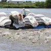 Vùng nuôi cá tra thương phẩm ở huyện Cao Lãnh được cấp mã số nhận diện. (Ảnh: Nguyễn Văn Trí/TTXVN)