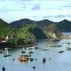 Quần đảo Cát Bà thuộc huyện đảo Cát Hải, thành phố Hải Phòng đã được UNESCO công nhận là khu dự trữ sinh quyển thế giới, mỗi năm thu hút hàng triệu lượt khách trong nước và quốc tế thăm quan, nghỉ dưỡng. (Ảnh: An Đăng/TTXVN)
