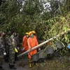 Quân đội Ấn Độ cùng với lực lượng ứng phó thảm họa quốc gia dọn dẹp cây đổ sau bão Amphan tại Kolkata, thủ phủ bang Tây Bengal ngày 23/5. (Ảnh: AFP/TTXVN)