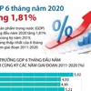 [Infographics] Tổng sản phẩm trong nước 6 tháng đầu năm tăng 1,81%