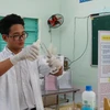 Em Trịnh Hoàng Long pha chế ngâm hóa chất với xương cá ngừ đã qua xử lý thô trong phòng thí nghiệm của trường THPT Nguyễn Văn Trỗi. (Ảnh: Phan Sáu/TTXVN)