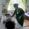 Các bác sỹ Bệnh viện Đa khoa tỉnh Gia Lai đang tập trung điều trị cho các bệnh nhân mắc bệnh bạch hầu. (Ảnh: Quang Thái/ TTXVN)