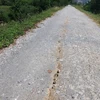 Các vết nứt trên tuyến đê tả sông Đáy thuộc địa bàn 2 xã Thanh Nghị và Thanh Hải, huyện Thanh Liêm, tỉnh Hà Nam. (Ảnh:TTXVN phát)