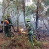 Lực lượng chức năng nỗ lực dập lửa khống chế vụ cháy rừng tại xã Diễn Lộc. (Ảnh: TTXVN phát)