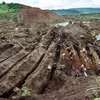 Tình trạng ô nhiễm thủy ngân cao trong khu vực Amazon là do hoạt động khai thác vàng bất hợp pháp (Nguồn: AFP)