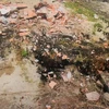 Mộ bị đào bới, hài cốt bị đốt để thành đất "sạch" bán cho chủ mới. (Nguồn: congan.com.vn)