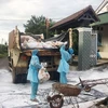 Lực lượng chức năng vận chuyển gia cầm bị bệnh tại xã Ea Kao, thành phố Buôn Ma Thuột, đi tiêu hủy. (Ảnh: Tuấn Anh/TTXVN)