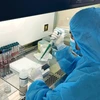 Cán bộ Trung tâm Kiểm soát bệnh tật tỉnh Quảng Ninh làm mẫu xét nghiệm bằng phương pháp PCR. (Ảnh: TTXVN phát)