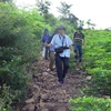 Nhóm phóng viên được công an xã dẫn đường đến nơi rừng bị chặt phá cách trung tâm xã Phú Mỡ 4km. (Ảnh: Xuân Triệu/TTXVN)