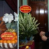 Thủ tướng Nguyễn Xuân Phúc dâng hương tưởng niệm Bác Hồ ở Nhà 67, Khu Di tích Chủ tịch Hồ Chí Minh tại Phủ Chủ tịch. (Ảnh: Thống Nhất/TTXVN)