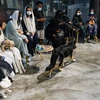 Khách hàng tại quán càphê The Barking Lot ở thành phố Khobar, Saudi Arabia, ngày 25/9 vừa qua. (Ảnh: AFP/TTXVN)