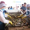 Dây chuyền sản xuất Chanh leo tại Công ty Cổ phần Thực phẩm xuất khẩu Đồng Giao. (Ảnh: Hồng Điệp/TTXVN)