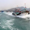 Đội tàu cá tỉnh Ninh Thuận vươn khơi khai thác hải sản. (Ảnh: Nguyễn Thành/TTXVN)