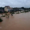 Nước sông Hiếu dâng cao, gây ngập lụt nhà dân và đường giao thông ở phường Đông Thanh, thành phố Đông Hà. (Ảnh: Hồ Cầu/TTXVN)