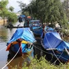 Tàu thuyền ngư dân xã Gio Việt đã vào neo đậu tránh trú an toàn tại các luồng lạch. (Ảnh: Hồ Cầu/TTXVN)