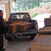 Số gỗ bị tẩu tán bên đường được lực lượng kiểm lâm được đưa về trụ sở. (Ảnh: Nguyễn Dũng/TTXVN)