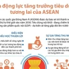 [Infographics] Bốn động lực tăng trưởng tiêu dùng tương lai của ASEAN