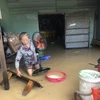 Nhiều hộ dân phường Nhơn Phú, thành phố Quy Nhơn bị ngập sâu. (Ảnh: Nguyên Linh/TTXVN)