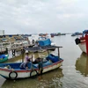 Tàu, thuyền của ngư dân neo đậu tránh bão tại cảng Vạn Giã, tỉnh Khánh Hòa. (Ảnh: Thanh Vân/TTXVN)