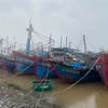 Tàu thuyền neo đậu an toàn tại Khu neo đậu tàu thuyền ở Thị trấn Cửa Việt,tỉnh Quảng Trị. (Ảnh: Thanh Thủy/TTXVN)