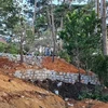 Khoảng 840m2 đất rừng thông bị lấn chiếm được xây cả bờ kè đá kiên cố trái phép. (Ảnh: TTXVN phát)