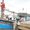Tàu cá gặp nạn được cứu hộ kéo vào cảng biển an toàn. (Ảnh: Võ Dung/TTXVN)