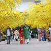 [Photo] TPHCM: Rộn ràng sắc Xuân tại Lễ hội Tết Việt Tân Sửu