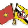 Cơ Việt nam và Brunei Darussalam. (Nguồn: crossed-flag-pins.com)