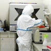 Xét nghiệm các mẫu bệnh phẩm nhiễm và nghi nhiễm COVID-19 tại labo. (Ảnh: Dương Ngọc/TTXVN)