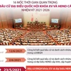 16 mốc quan trọng về kỳ bầu cử đại biểu Quốc hội khóa XV, HĐND các cấp