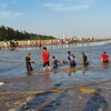 Lực lượng chức năng đang khuẩn trương tìm kiếm 3 nữ học sinh bị mất tích tại tuyến đê biển quốc gia thuộc địa bàn giáp ranh giữa xã Giao Long và xã Bạch Long, huyện Giao Thủy, tỉnh Nam Định. (Ảnh: Công Luật/TTXVN)