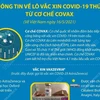 [Infographics] Thông tin về lô vaccine COVID-19 thứ 2 từ cơ chế COVAX