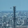 Máy bay trực thăng bay phía sau tháp ăngten cao 220m của Bộ Quốc phòng ở trung tâm Tokyo ngày 11/8/2020. (Nguồn: Mainichi)