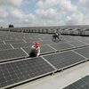 Bảo dưỡng tấm pin năng lượng Mặt Trời trên mái nhà. (Ảnh: Vũ Sinh/TTXVN)