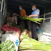 Tập kết hàng nông sản của tỉnh Bến Tre hỗ trợ thành phố Hồ Chí Minh tại Hội Nông dân tỉnh Bến Tre. (Ảnh Công Trí/TTXVN)
