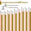 [Infographics] Giá xăng E5 RON 92 giảm 607 đồng mỗi lít
