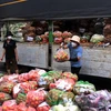 Mỗi ngày tỉnh Lâm Đồng sẽ chuyển cho Thành phố Hồ Chí Minh 200 tấn rau, củ, quả để hỗ trợ lực lượng tuyến đầu và người dân trong đợt dịch. (Ảnh: Xuân Khu/TTXVN)