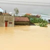 Hơn 10.000 hộ dân huyện Quảng Ninh, tỉnh Quảng Bình bị ngập sâu trong lũ hồi tháng 10/2020. (Ảnh: Văn Tý/TTXVN)