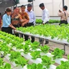 Sản xuất nông nghiệp ứng dụng công nghệ cao là chương trình đột phá mang lại nhiều hiệu quả của tỉnh Long An. (Nguồn: baolongan.vn)