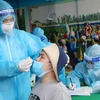 Nhân viên y tế lấy mẫu xét nghiệm sang lọc cho người dân phường Gia Cẩm, thành phố Việt Trì. (Ảnh: Trung Kiên/TTXVN)